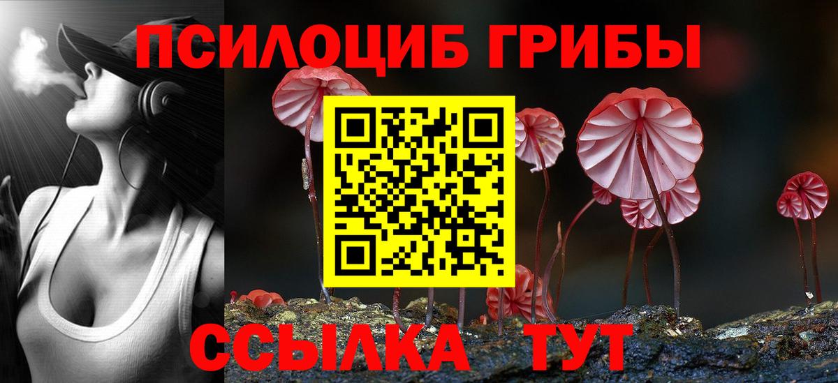 Псилоцибиновые грибы прущие грибы  Псилоцибиновые грибы Cubensis  что такое   Вход с VPN  Новокубанск 