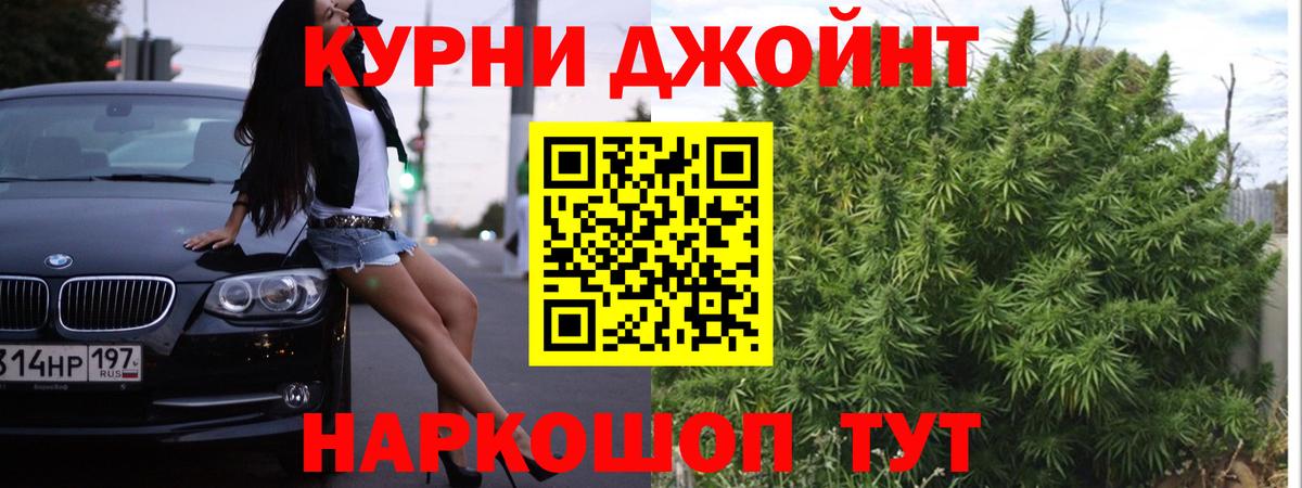 Шишки марихуана марихуана Новокубанск